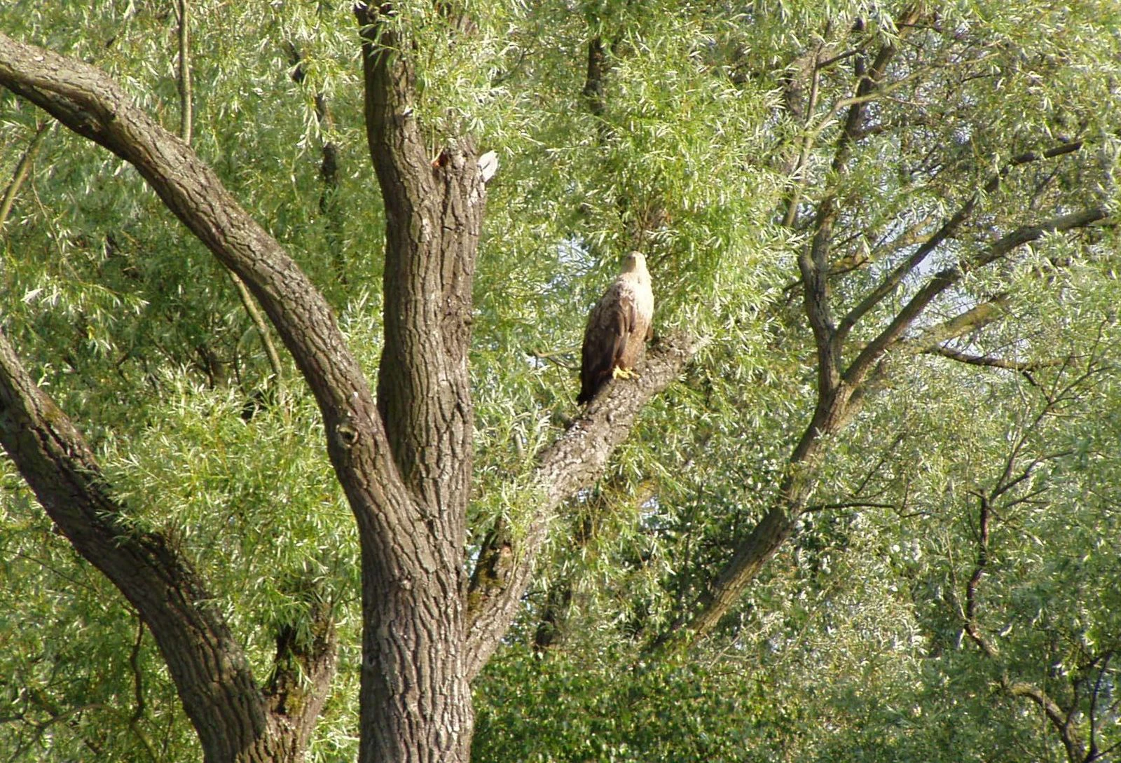 Trasa nr 4 - rejs ze Szczecina na Orli Przesmyk, Rzeka Święta i Duńczyca